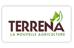 logo terrena